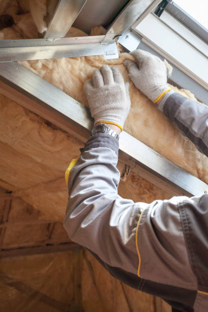 Best Blown-In Insulation  in Merrionette Park, IL